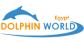 Dolphin world