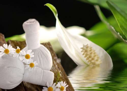 Herbal Stamp Massage