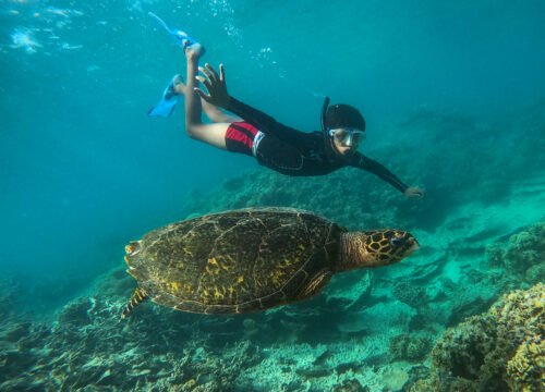 Snurkowanie w ABU DABAB  z Marsa Alam (z plaży)